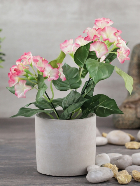 

Pure Home and Living Pink & White Artificial Petunia Plant with Pot