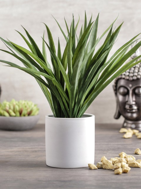 

Pure Home and Living Unisex Green Artificial Grass With White Ceramic Pot