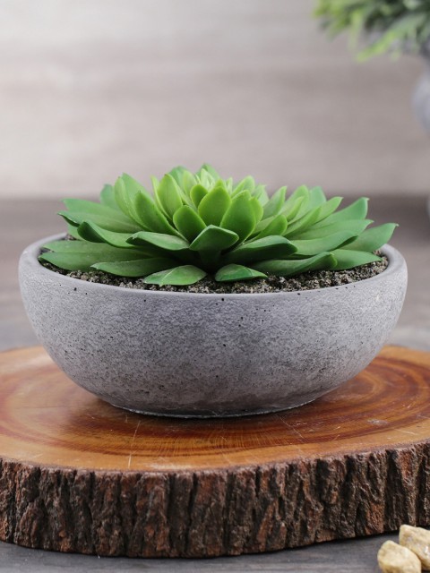 

Pure Home and Living Green & Grey Artificial Succulent Plant In Cement Pot