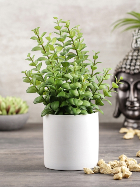 

Pure Home and Living Green Artificial Apple Leaves Plant With Ceramic Pot