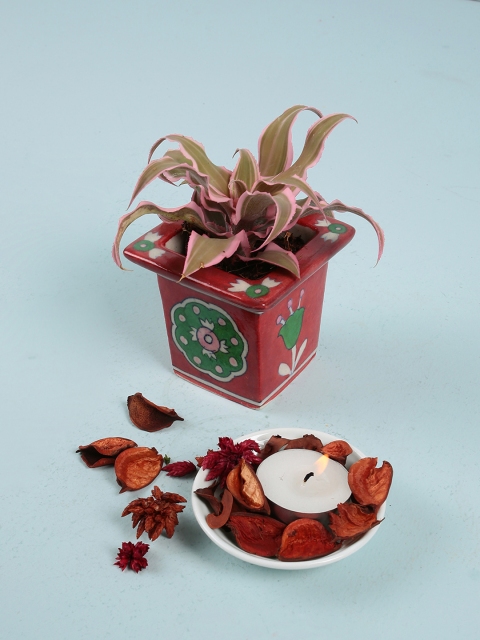 

Chumbak Red & Green Small Ceramic Grassy Memories Planter