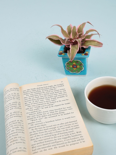 

Chumbak Blue Beachy Memories Planter