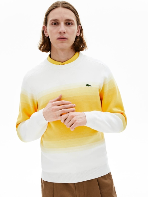 

Lacoste Men Yellow Colourblocked Pullover Sweater