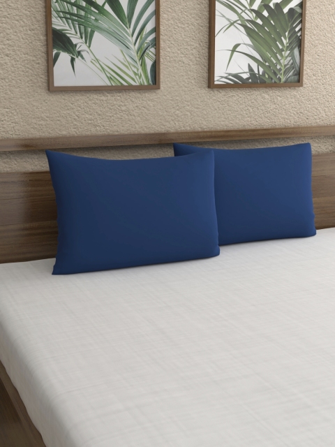 

Home Ecstasy Set Of 2 Blue Solid 220 TC Pillow Covers