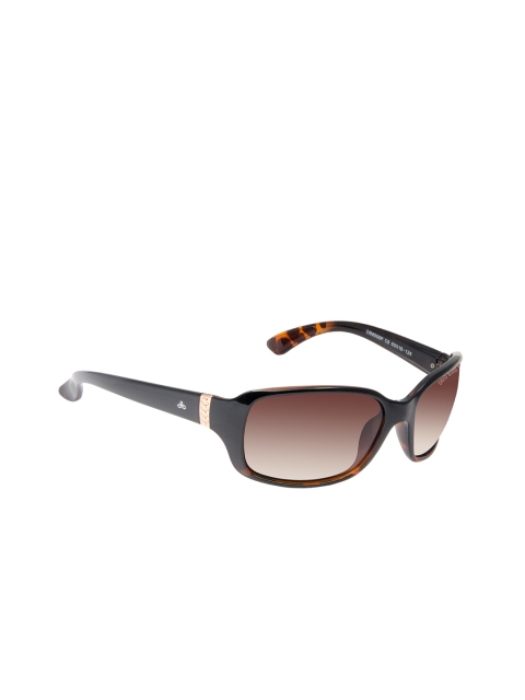 

David Blake Women Rectangle Sunglasses SGDB2065x8006PC6, Brown