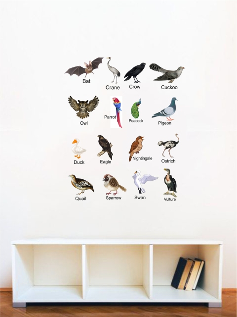 

rawpockets Multicoloured Birds Names Wall Stickers, Multi
