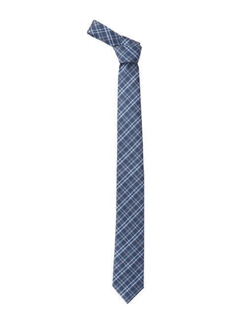 

Louis Philippe Blue Checked Broad Silk Tie