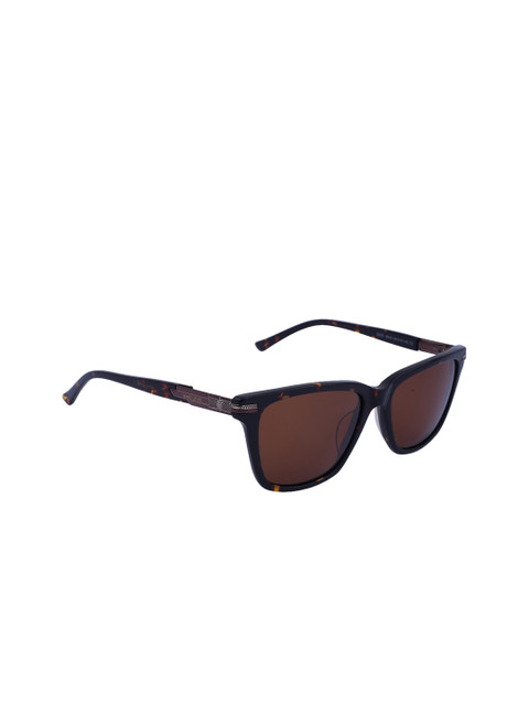 

MARC LOUIS Unisex Wayfarer Sunglasses, Brown