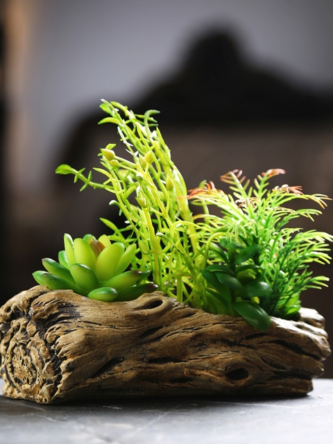 

Dennmarks Green & Brown Stone Plant with Ceramic Pot