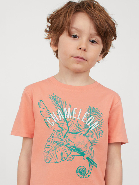 

H&M Boys Orange & Green 2-Pack Printed Cotton T-shirts