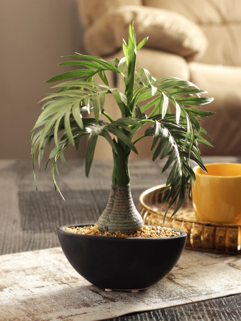 

Living Essence Green & Black Sage Artificial Plant with Pot