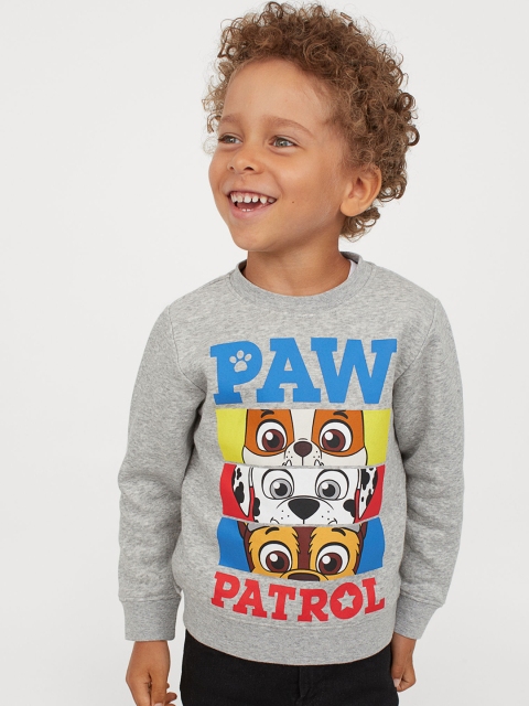 

H&M Boys Grey & Blue Printed Sweatshirt