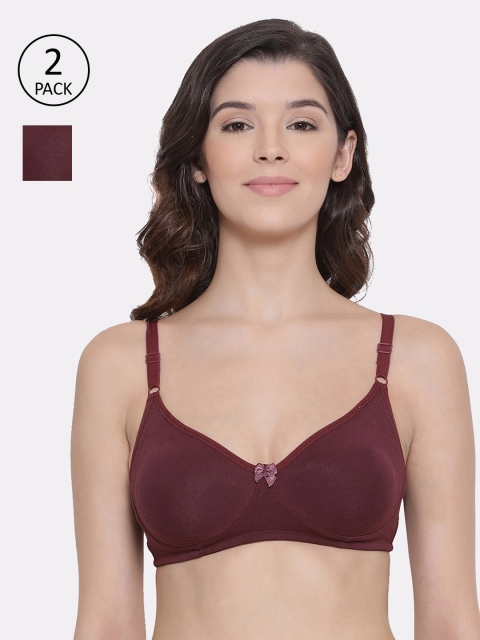 

LYRA Burgundy Pack of 2 Solid Non-Wired Non Padded Everyday Bra LYRA_BRA_513_WINE_2PC