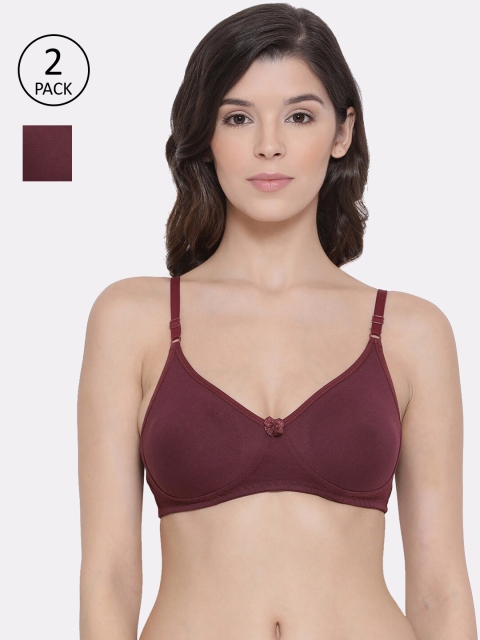 

Lux Lyra Pack Of 2 Burgundy Solid Non-Wired Non Padded Everyday Bra