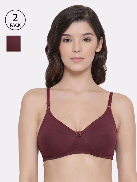 

LYRA Burgundy Solid Non-Wired Non Padded Everyday Bra LYRA_BRA_511_WN_2PC