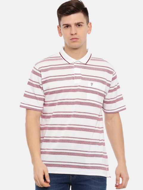 

Classic Polo Men White & Maroon Striped Polo Collar T-shirt