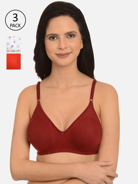 

mod & shy Maroon & White Pack of 3 Solid Non-Wired Non Padded Everyday Bra MS948588