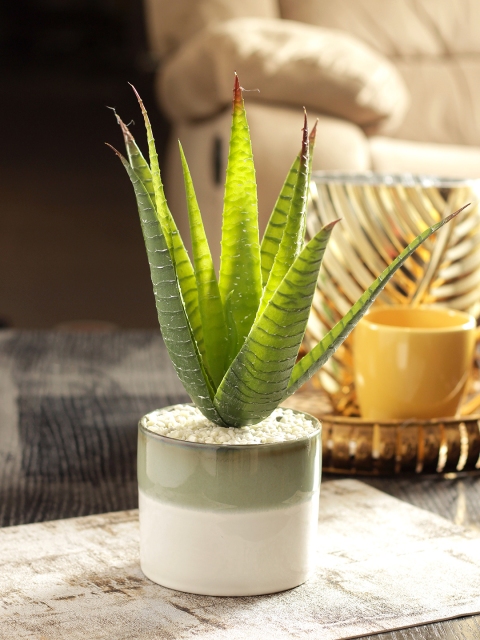 

Living Essence Green & White Flora Artificial Plant with Pot