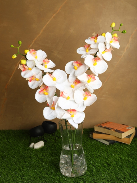 

PolliNation Set Of 2 White & Peach-Coloured Stunning Artificial Phalaenopsis Orchid Flower Stems