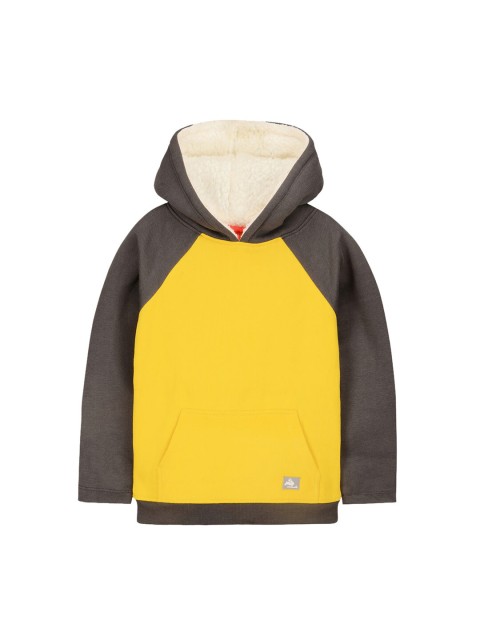 

Cherry Crumble Kids Yellow & Brown Colourblocked Hooded Sweatshirt