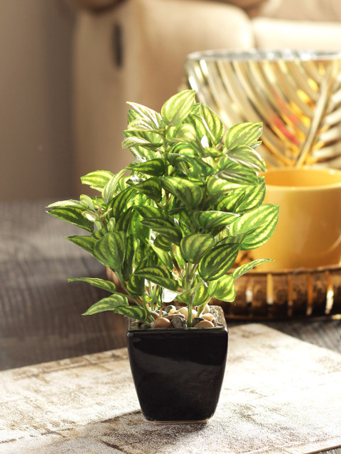 

Living Essence Green & Black Sage Artificial Plant with Pot