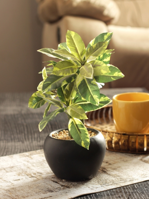 

HomeTown Green & Black Sage Artificial Plant with Pot