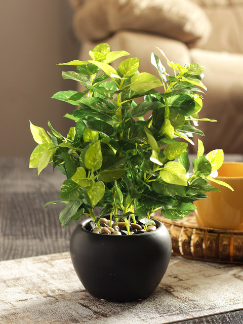 

Living Essence Green & Black Sage Artificial Plant with Pot