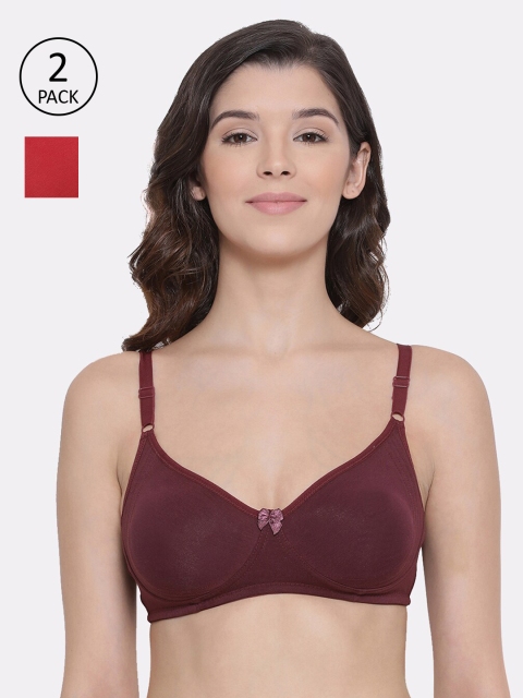 

LYRA Pack Of 2 Solid Non-Wired Non Padded Everyday Bras YRA_BRA_513_WN_REDL, Maroon