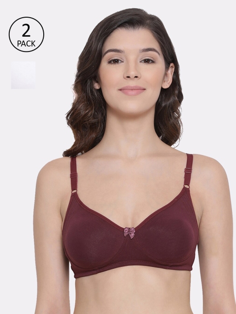 

LYRA Pack Of 2 Maroon & White Solid Non-Wired Non Padded Everyday Bra 513_WH_WN
