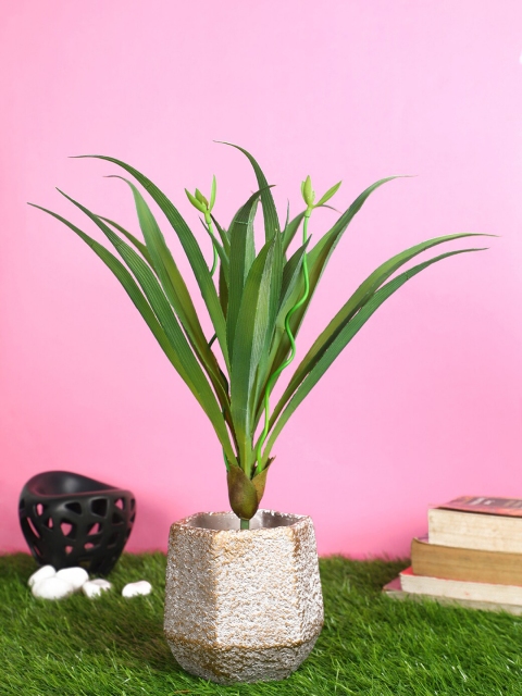 

PolliNation Green Artificial Bunch For Decor without Pot