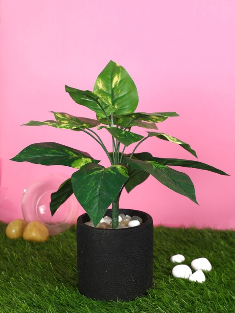 

Pollination Green Artificial Bunch For Decor without Pot