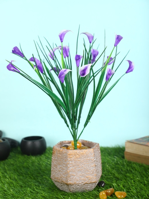 

Pollination Green & Purple Vibrant Artificial Calla lily Bunch For Decor without Pot