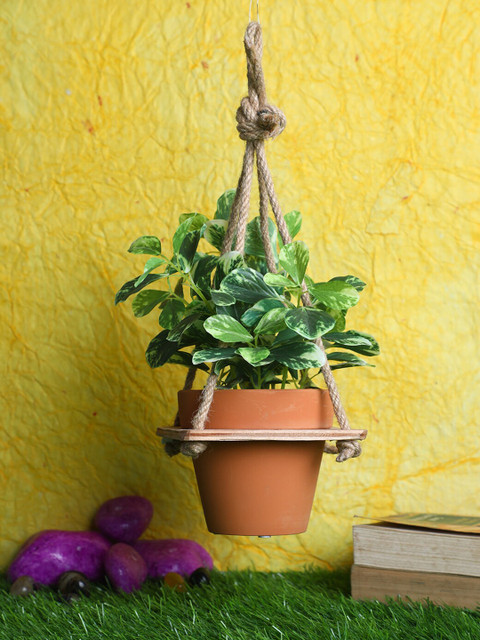 

PolliNation Green Artificial Peperomia Jade Bonsai with Ceramic Pot & Hanging Stand