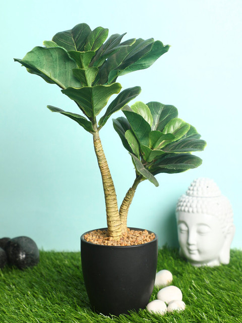 

PolliNation Green & Black Decorative Artificial Fiddle Leaf Fig Bonsai with Ceramic Pot
