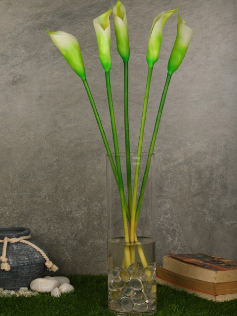 

PolliNation Set Of 5 White & Green Real Touch Artificial Calla lily Flowers