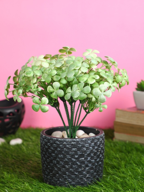 

PolliNation Set Of 2 White & Green Artificial Waterclover Without Pot