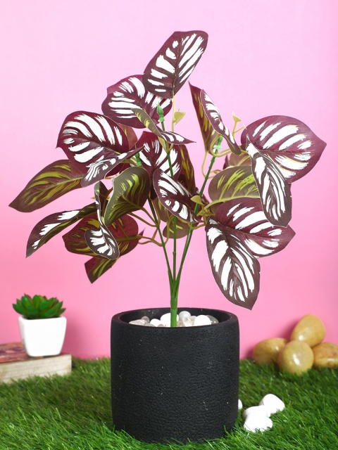 

PolliNation Purple & White Artificial Bunch For Decor without Pot