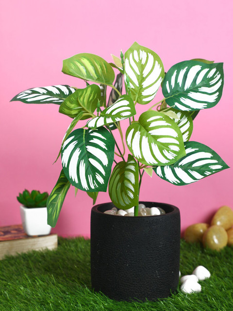 

PolliNation Green Artificial Bunch For Decor without Pot