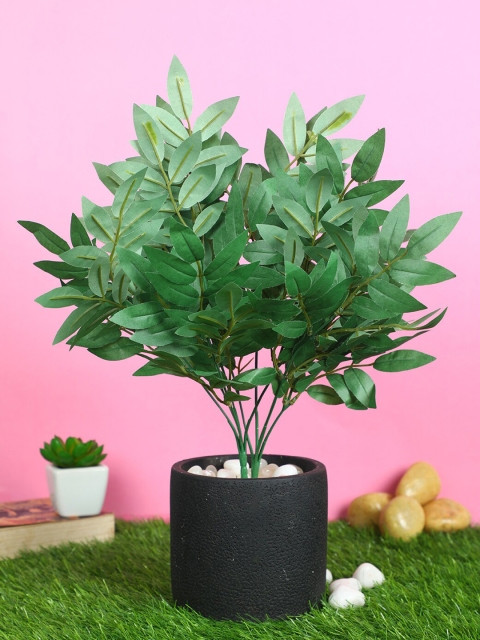 

Pollination Set Of 2 Artificial Green Bush For Decor without Pot