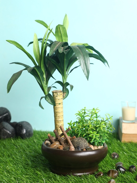

PolliNation Green & Brwon Decorative Artificial Dracaena Bonsai with Ceramic Pot