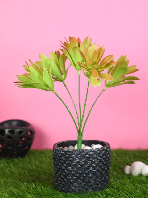 

PolliNation Brown & Green Artificial Succulent Bunch without Pot