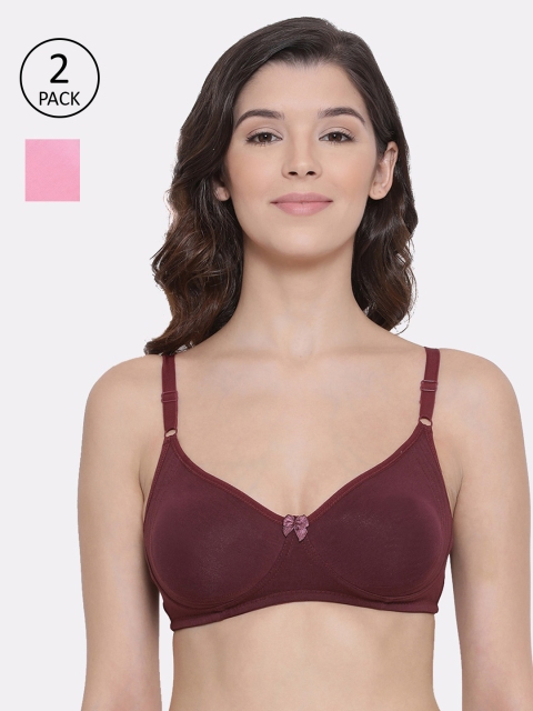 

LYRA Pack Of 2 Maroon & Pink Solid Non-Wired Non Padded Everyday Bras