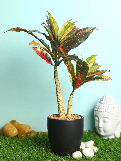 

PolliNation Green & Black Decorative Artificial Croton Bonsai with Ceramic Pot