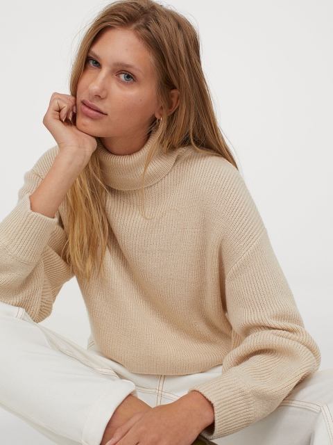 

H&M Women Beige Solid Cropped Polo-Neck Sweater