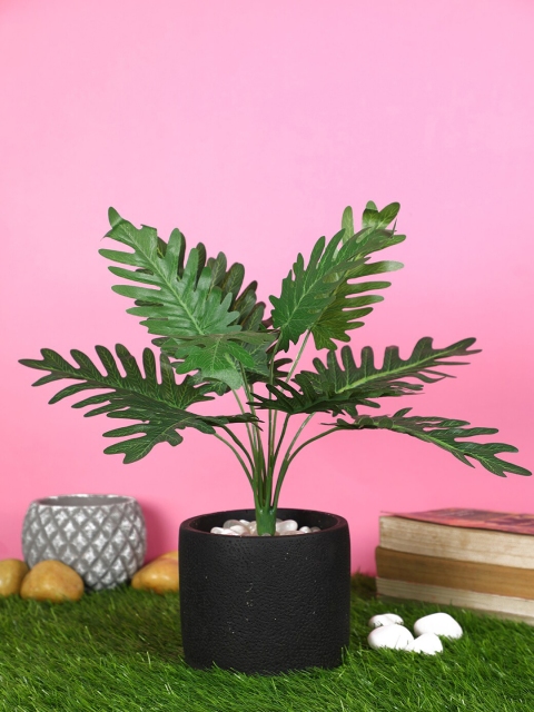 

Pollination Green Attractive Artificial Splitphilo Bunch without Pot