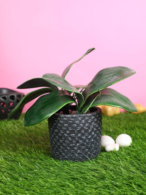 

PolliNation Green Pack of 2 Artificial Orchid Leaves For Decor without Pot