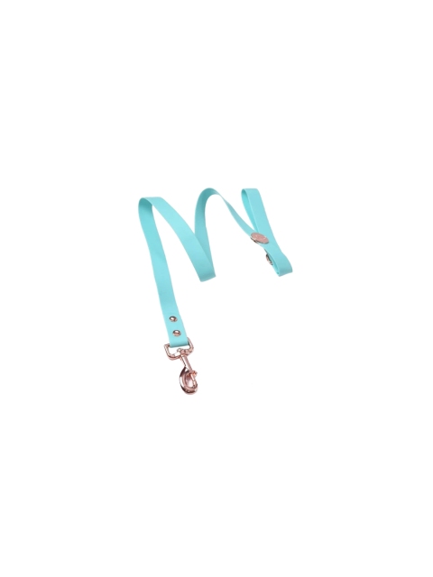 

Heads Up For Tails Turquoise Blue Rain Friendly Dog Leash, Green