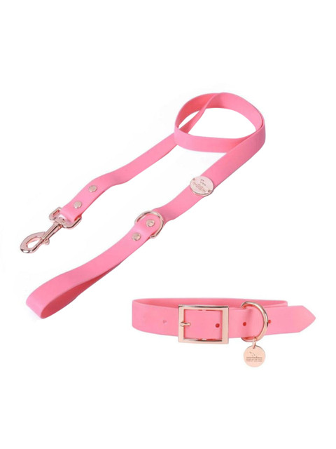 

Heads Up For Tails HUFT Pastel Pawprint Rain Friendly Dog Collar, Pink