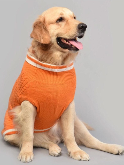 Heads Up For Tails Orange Winter Land Dog Sweater