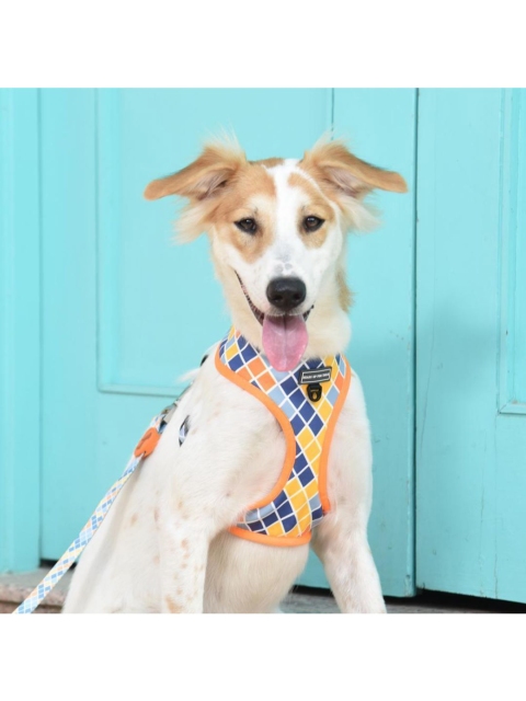 

Heads Up For Tails Colour Chaser Reversible Mesh Dog Harness, Orange